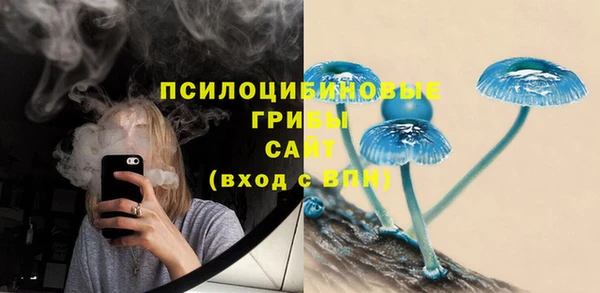 трава Алексин