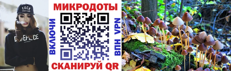 Псилоцибиновые грибы Psilocybine cubensis  Салават 